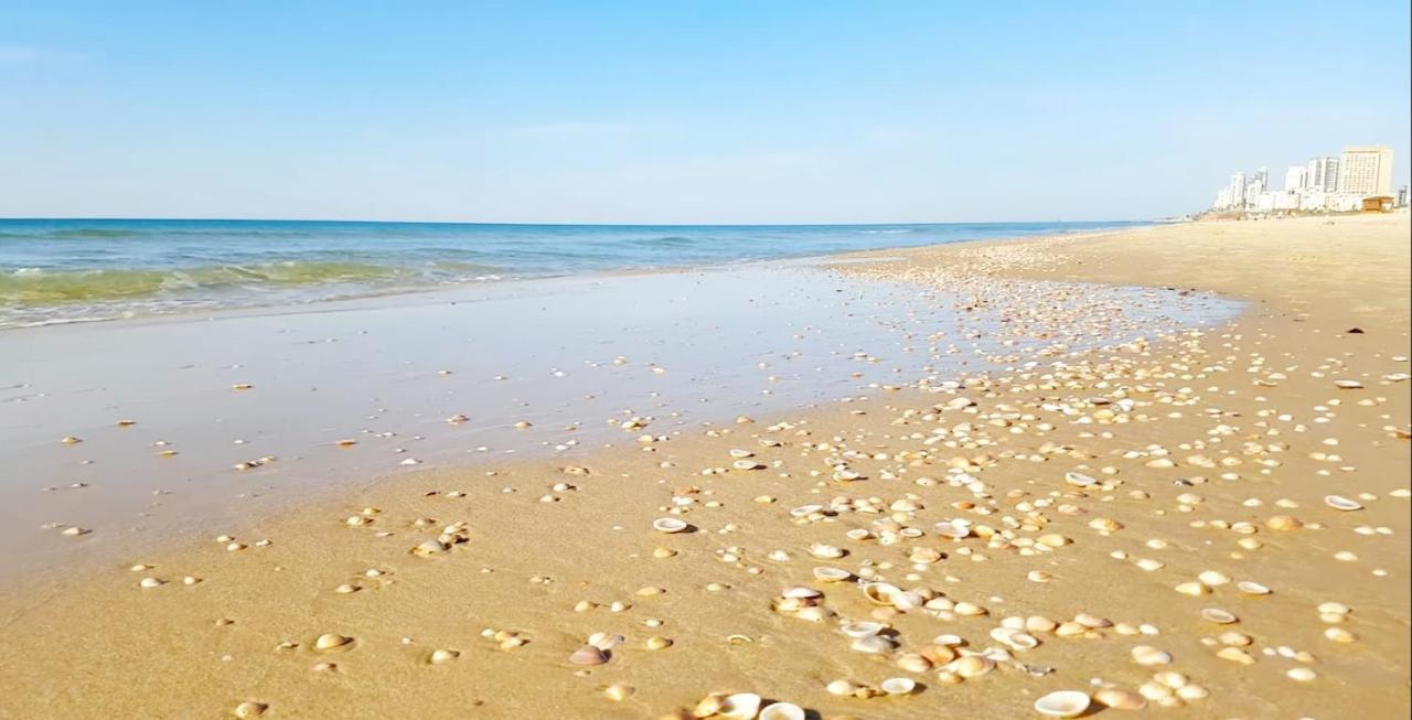 7 Hotel Apartment Short Time Tlv Bat Yam Exteriör bild